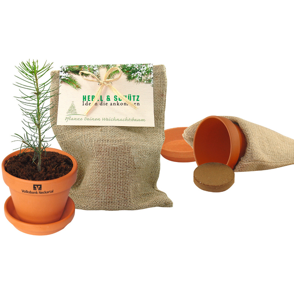 Fir in jute bag | Eco promotional gift